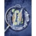 Ruszt BBQ 50x29cm na grill - 2