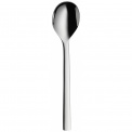 Nuova Kiwi Spoon - 1