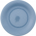 Color Loop Horizon Dinner Plate 28.5cm