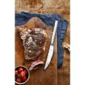 Set of 6 Steak Knives Nuova - 5