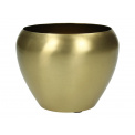 Gold Cover 12cm - 1