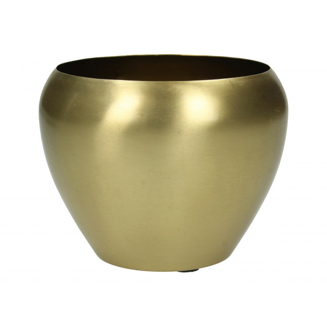 Gold Cover 12cm - 1