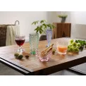 Boston Coloured Green Wine Glass 310ml - 5