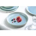 Crafted Blueberry Plate 21.5cm Deep - 6