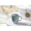 Crafted Blueberry Mug 350ml - 6