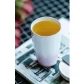 Kubek To Go 350ml Powder - 6