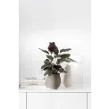 Wazon Collier 26cm - 4