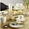 Voice Basic Plate 27cm Dinner - 5