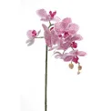 Orchid Branch 75cm Pink - 1