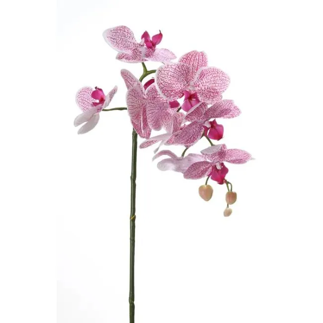 Orchid Branch 75cm Pink - 1