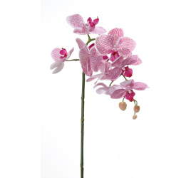 Gałązka Orchidea 75cm różowa