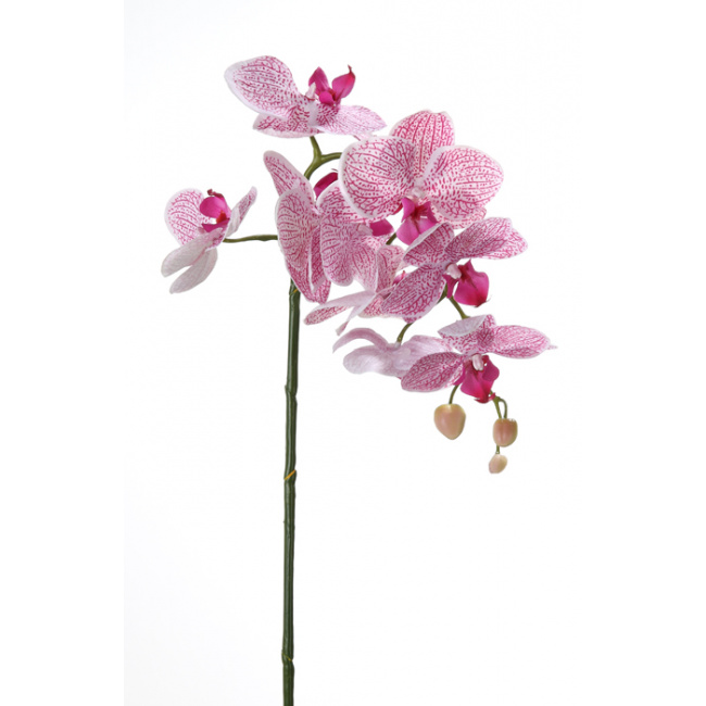Gałązka Orchidea 75cm różowa