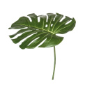 Liść Monstera 36x35cm