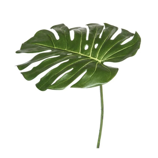 Monstera Leaf 36x35cm