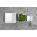Quadro Vase 21x11.5cm - 4