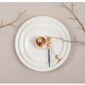 a'Table d'Or Plate 26.5cm Dinner - 2