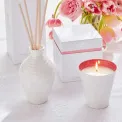 Sophie Conran Reed Diffuser 200ml Strength - 4