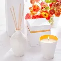 Sophie Conran Reed Diffuser 200ml Freedom - 4