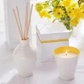 Sophie Conran Reed Diffuser 200ml Purpose - 3