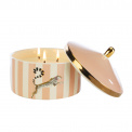 Yvonne Ellen Scented Candle 14.3x12cm 22h Purrfect Day - 3