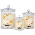 Colony Scented Candle 10x14.3cm 48h Gold - 2