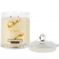 Colony Scented Candle 10x14.3cm 48h Gold - 1