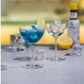 Nick & Nora Glass 140ml for Cocktails - 2