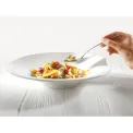 Pasta Passion Set of 2 Large Plates for Pasta - 3