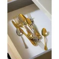 Royal PVD 24-piece Cutlery Set (6 people) Gold - 4