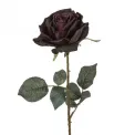 Róża 66cm fioletowo-czarna - 1