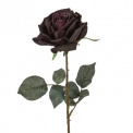 Róża 66cm fioletowo-czarna - 1
