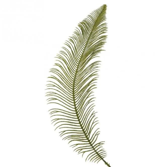 Fern Leaf 60cm