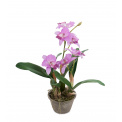Orchid in Pot 60cm White-Green - 1