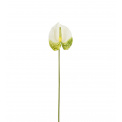 Kwiat anthurium 40cm biało-zielony - 1