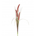 Decorative Grass 80cm Brown - 1
