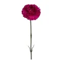 Goździk 55cm purpurowy - 1