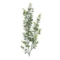 Gałązka eukaliptusa 74cm - 1