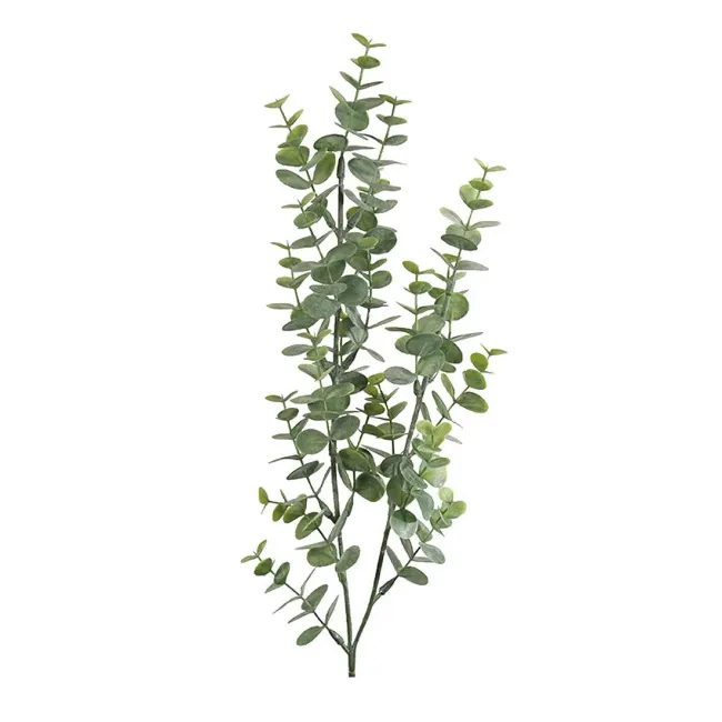 Gałązka eukaliptusa 74cm - 1