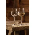Toy's Delight Glass 380ml - 6