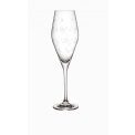Toy's Delight Glass 260ml - 1