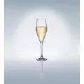 Toy's Delight Glass 260ml - 2