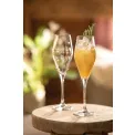 Toy's Delight Glass 260ml - 6