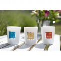 Mimosa & Sweet Amber Candle 190g - 2