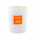 Mimosa & Sweet Amber Candle 190g - 5