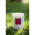 Rose & Champagne Candle 190g - 3