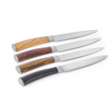 Set of 4 Garry Steak Knives - 2