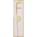 Cold Fire Classic Letter F Gold (1 piece) - 1