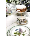 Traditional Botanic Garden Teapot 1.1L for Tea - 3
