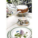 Traditional Botanic Garden Teapot 1.1L for Tea - 4