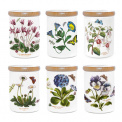 Botanic Garden Container with Lid 12.5x9.5cm (assorted patterns)